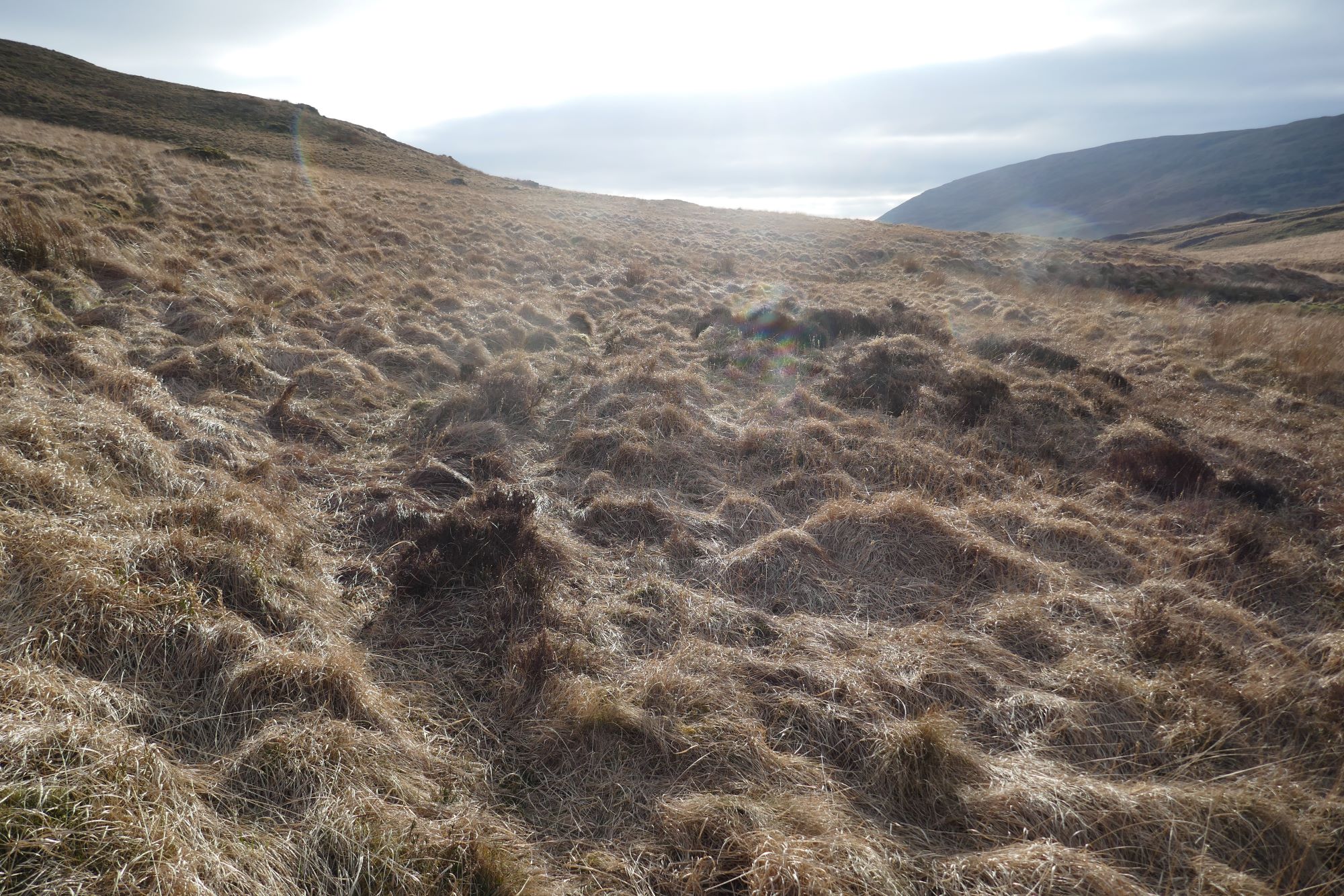 RachelSeabrook.net | Wild Walking | Cwm Gwerin | pic59
